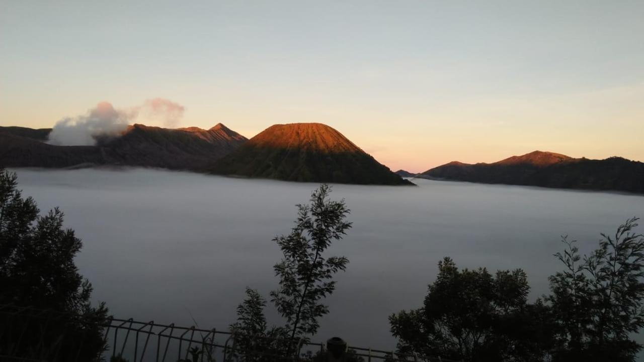 Cemara Indah Hotel Bromo Luaran gambar