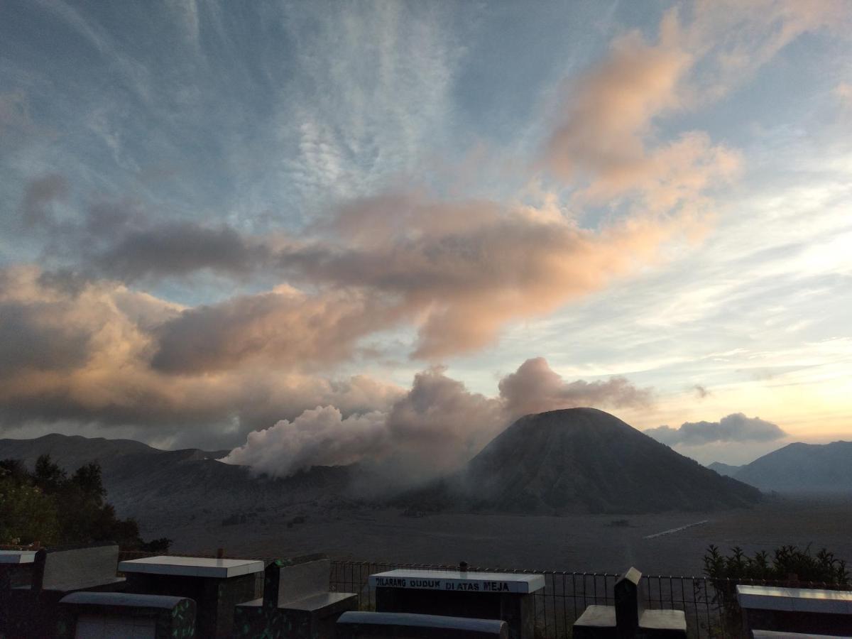 Cemara Indah Hotel Bromo Luaran gambar