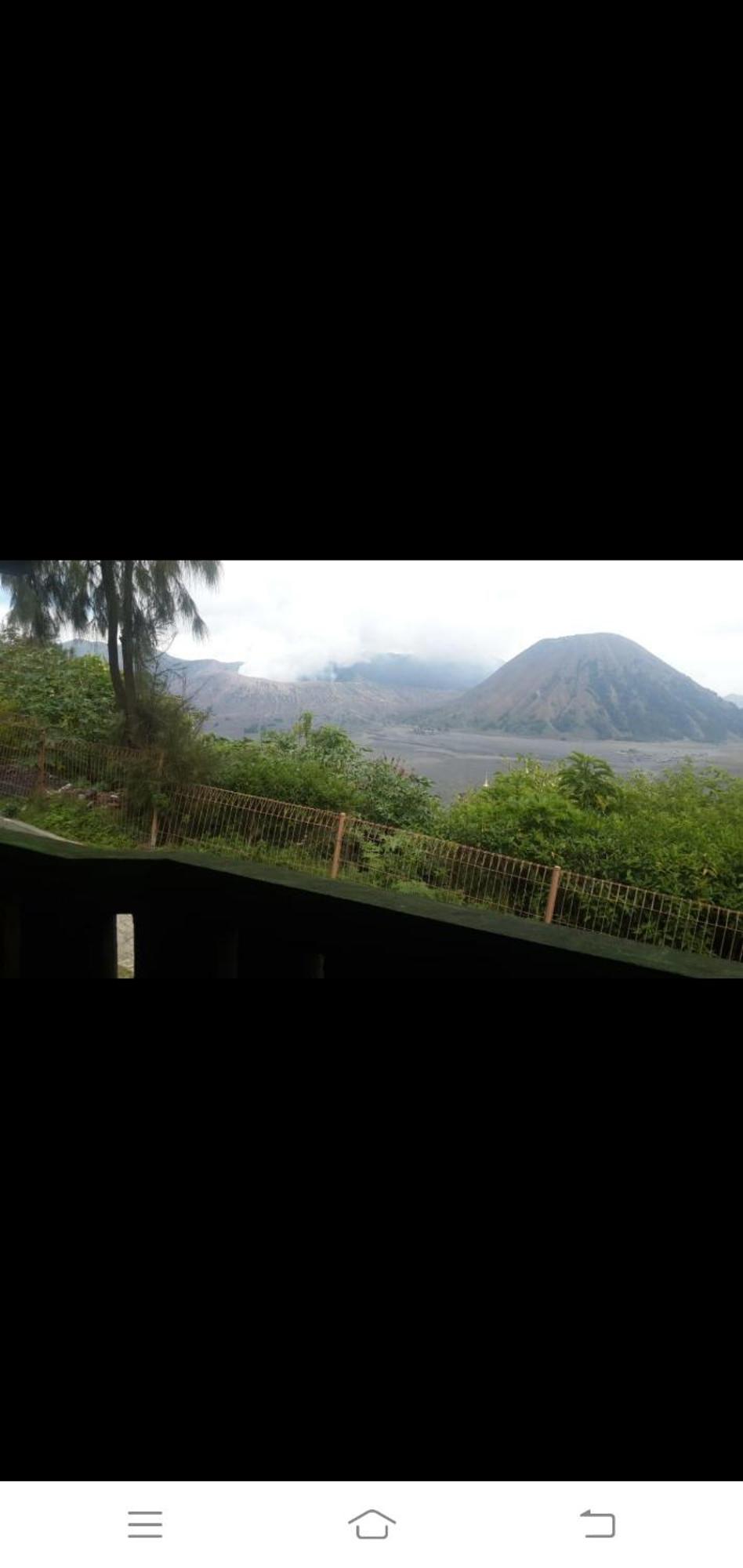 Cemara Indah Hotel Bromo Bilik gambar