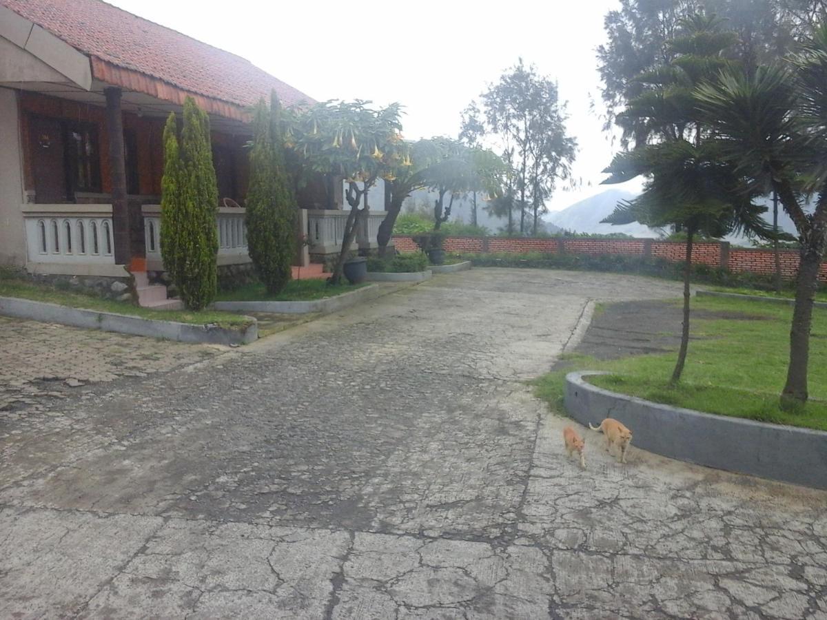 Cemara Indah Hotel Bromo Luaran gambar