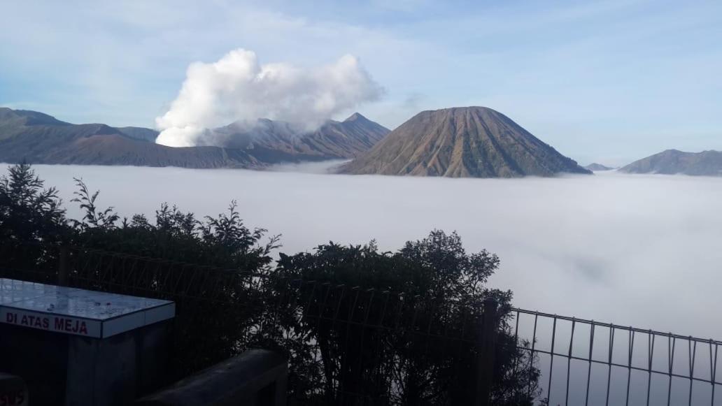 Cemara Indah Hotel Bromo Luaran gambar